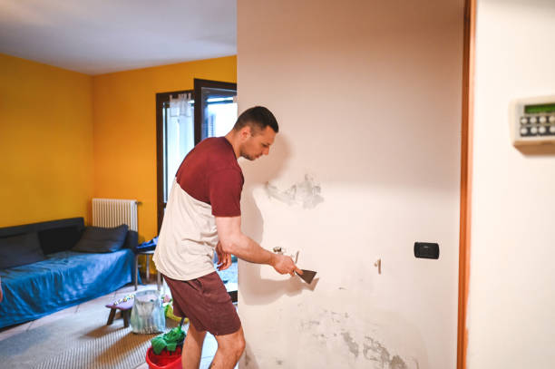 Best Mold Damage Repair  in Vancleave, MS